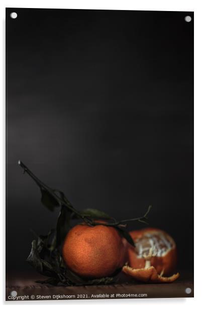 Clementines Still Life depth of field Acrylic by Steven Dijkshoorn