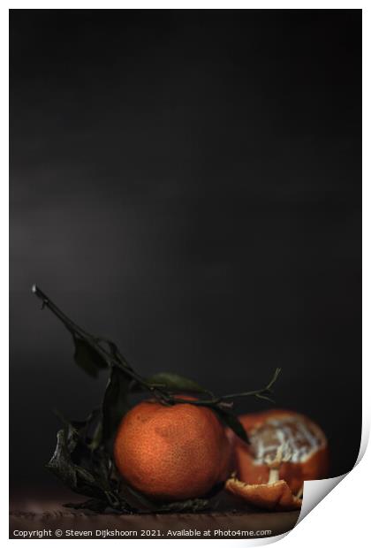 Clementines Still Life depth of field Print by Steven Dijkshoorn
