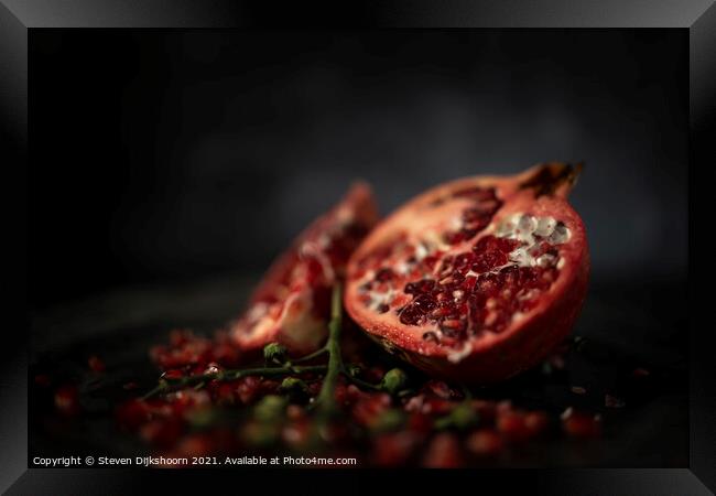 Pomegranate Still Life dark Framed Print by Steven Dijkshoorn