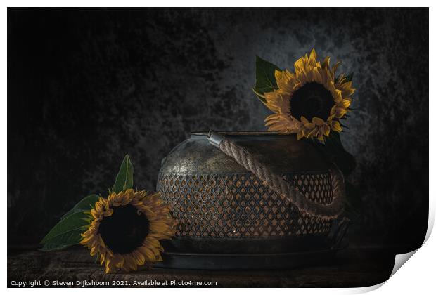 A close up of sunflowers as a still life Print by Steven Dijkshoorn
