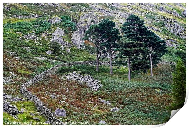 Lake District Fells Beneath Helvellyn Print by Martyn Arnold