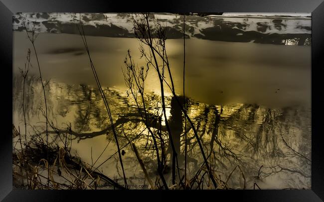 Reflections Framed Print by scott gilbert