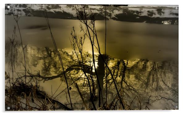 Reflections Acrylic by scott gilbert