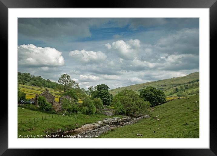 Green valley in Yorkshire Dales Framed Mounted Print by JUDI LION