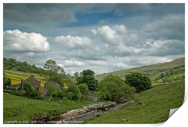Green valley in Yorkshire Dales Print by JUDI LION