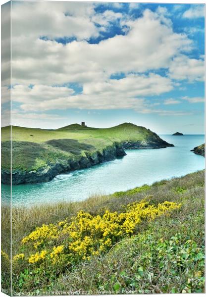 Clouds & Gorse At Port Quin, Cornwall. Canvas Print by Neil Mottershead