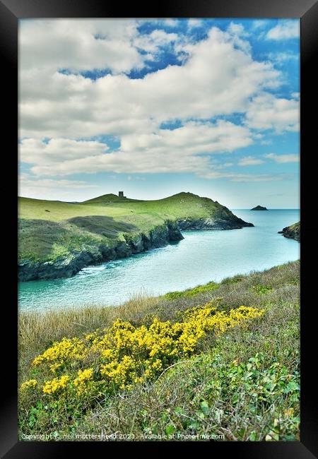 Clouds & Gorse At Port Quin, Cornwall. Framed Print by Neil Mottershead