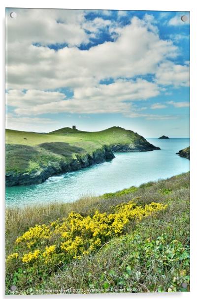 Clouds & Gorse At Port Quin, Cornwall. Acrylic by Neil Mottershead