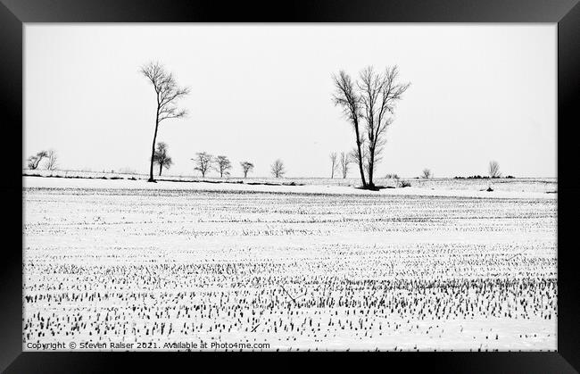 Trees in Snow 6 Framed Print by Steven Ralser