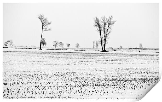 Trees in Snow 6 Print by Steven Ralser