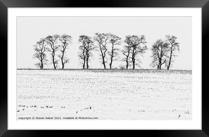 Trees in Snow 5 Framed Mounted Print by Steven Ralser