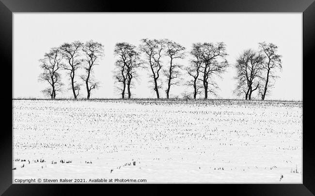 Trees in Snow 5 Framed Print by Steven Ralser