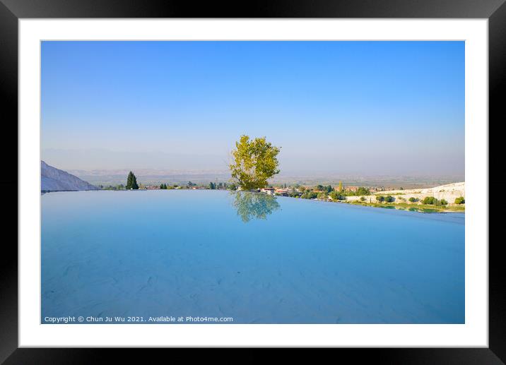 A tree and reflection on the pool at Pamukkale (cotton castle), Denizli, Turkey Framed Mounted Print by Chun Ju Wu