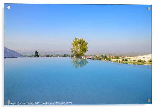 A tree and reflection on the pool at Pamukkale (cotton castle), Denizli, Turkey Acrylic by Chun Ju Wu
