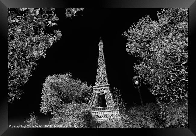 Eiffel Tower with sunny blue sky in Paris, France (black & white) Framed Print by Chun Ju Wu