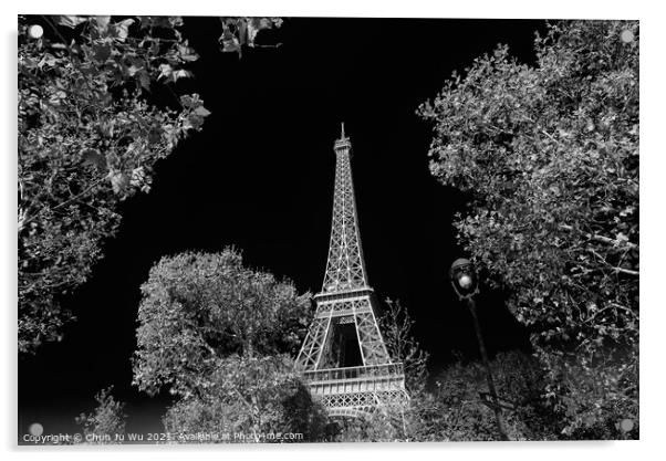 Eiffel Tower with sunny blue sky in Paris, France (black & white) Acrylic by Chun Ju Wu