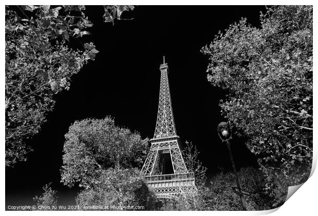 Eiffel Tower with sunny blue sky in Paris, France (black & white) Print by Chun Ju Wu