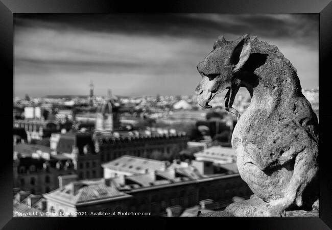 The Gargoyles of Notre Dame Cathedral overlooking Paris, France (black & white) Framed Print by Chun Ju Wu