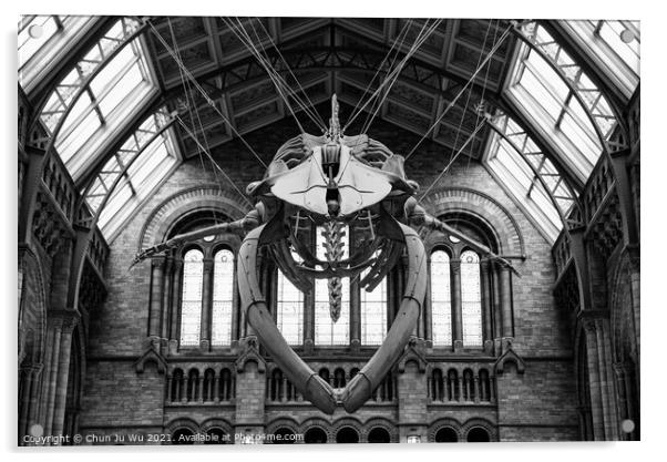 The interior of Natural History Museum with whale skeleton (black & white) Acrylic by Chun Ju Wu