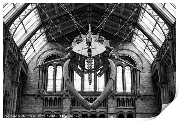The interior of Natural History Museum with whale skeleton (black & white) Print by Chun Ju Wu