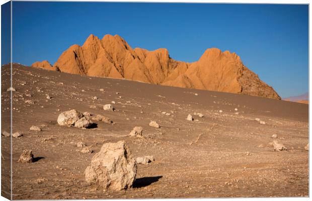 Vale del Luna, Atacama Desert Canvas Print by David Hare