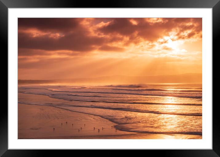 Gulls on the shore at Gwithian Beach, Hayle, Cornw Framed Mounted Print by Frank Farrell