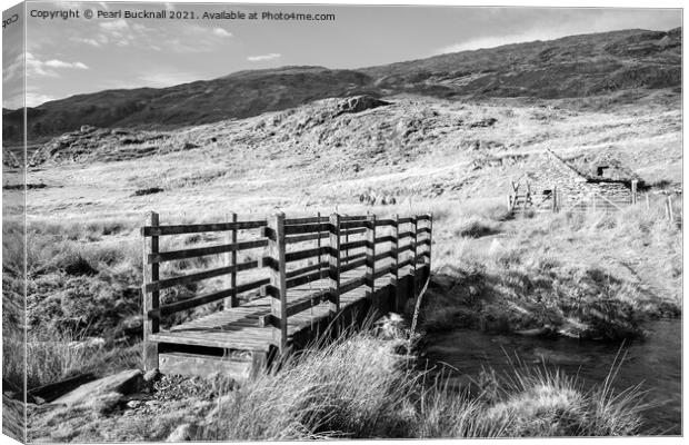 Monochrome Footbridge in Snowdonia Wales Canvas Print by Pearl Bucknall
