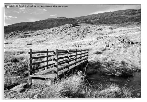 Monochrome Footbridge in Snowdonia Wales Acrylic by Pearl Bucknall