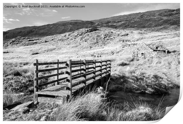 Monochrome Footbridge in Snowdonia Wales Print by Pearl Bucknall