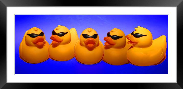 Ducks on Parade Framed Mounted Print by Peter Elliott 
