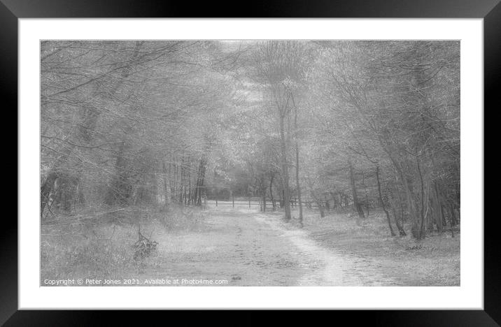 Winter path Framed Mounted Print by Peter Jones