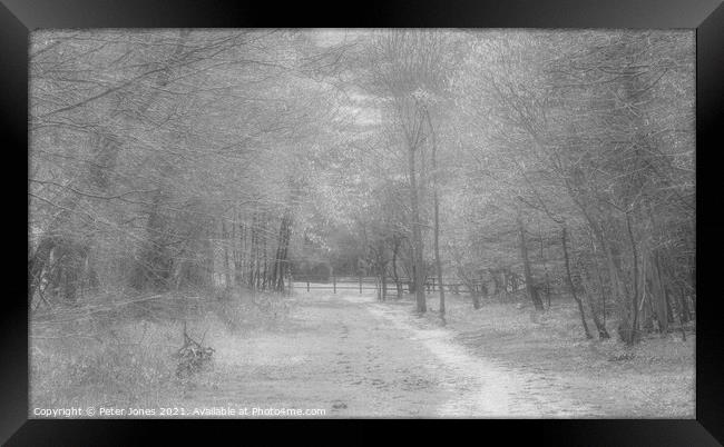 Winter path Framed Print by Peter Jones