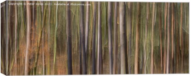 Abstract tall trees Canvas Print by Peter Jones