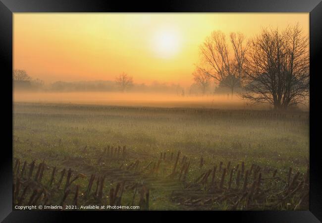 Beautiful Winter Sunset, Gelderland, Netherlands Framed Print by Imladris 