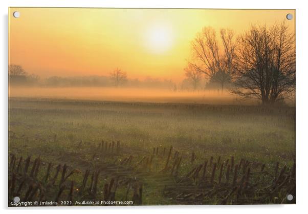 Beautiful Winter Sunset, Gelderland, Netherlands Acrylic by Imladris 