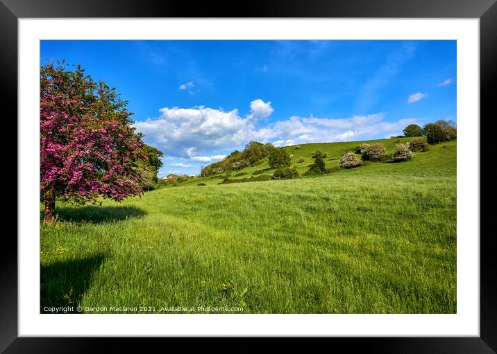 Summer fields in Somerset with Glastonbury Tor in the Distance Framed Mounted Print by Gordon Maclaren