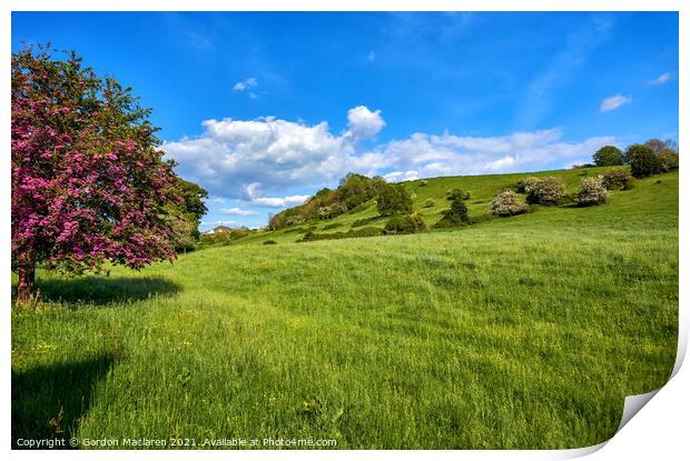 Summer fields in Somerset with Glastonbury Tor in the Distance Print by Gordon Maclaren