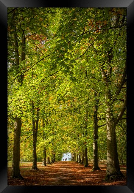 Backaskog Castle Garden Woodlands Framed Print by Antony McAulay
