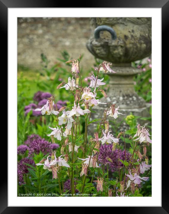 Flowers and Stone Urn Framed Mounted Print by JUDI LION