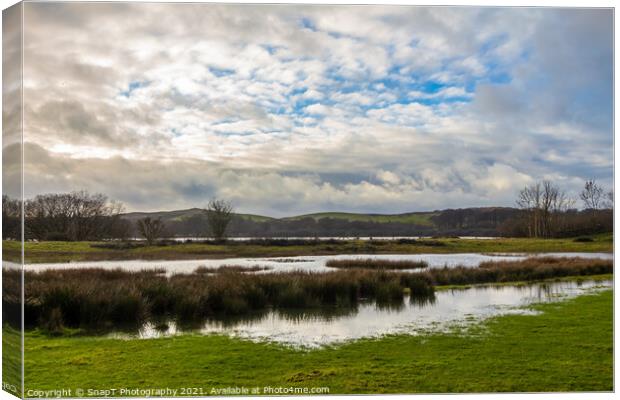 Flooded marshland at Loch Ken in winter near Parton, Galloway, Scotland Canvas Print by SnapT Photography