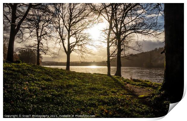 Winter sun breaking through the trees on Loch Ken, a Scottish Loch in Galloway Print by SnapT Photography