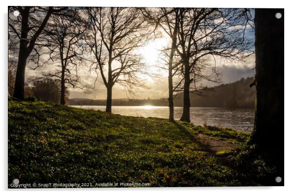 Winter sun breaking through the trees on Loch Ken, a Scottish Loch in Galloway Acrylic by SnapT Photography