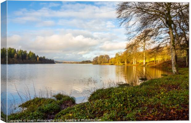 Winter sun over Loch Ken at Parton, Dumfries and Galloway, Scotland Canvas Print by SnapT Photography