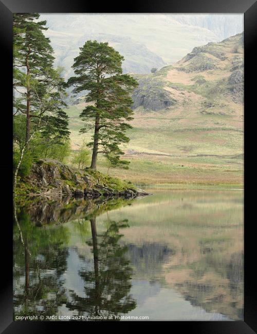 Trees at Blea Tarn Framed Print by JUDI LION