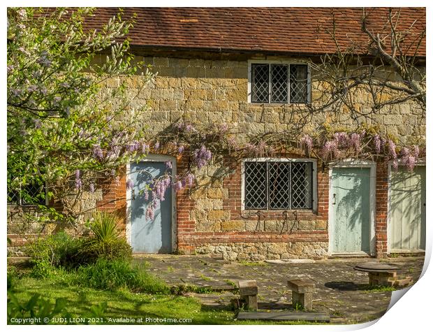 Stone Cottage and Wisteria Print by JUDI LION
