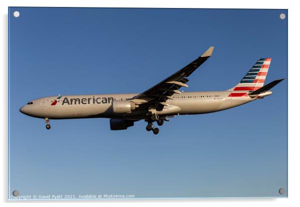 American Airlines Airbus A330 Acrylic by David Pyatt