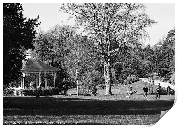Park Life in Spring Print by Mark Ward