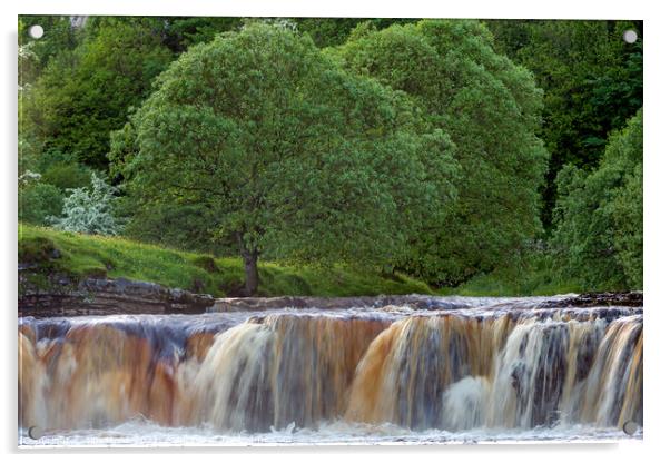 Wain Wath Force, Yorkshire Dales Acrylic by Jim Monk