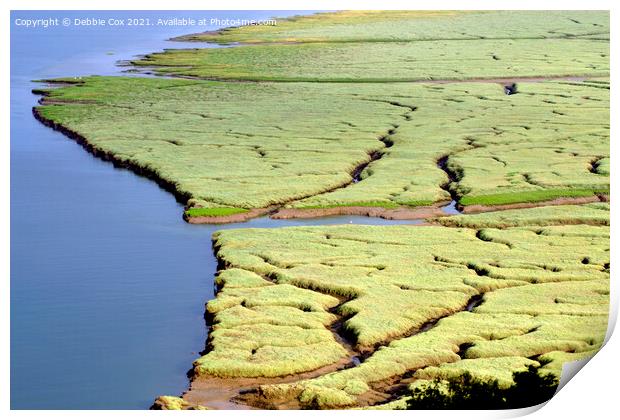 Laugharne Salt Marsh West Wales Print by Debbie Cox