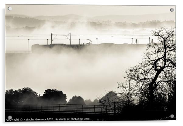 Train in the mist Acrylic by Natacha Guevara